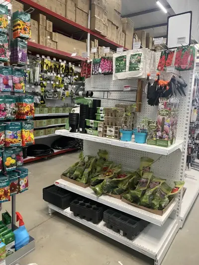 TeMax Петрич