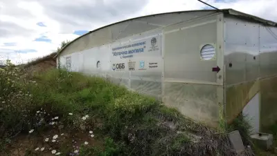 (Eastern Mound) Archaeological Complex / Източна могила - Караново