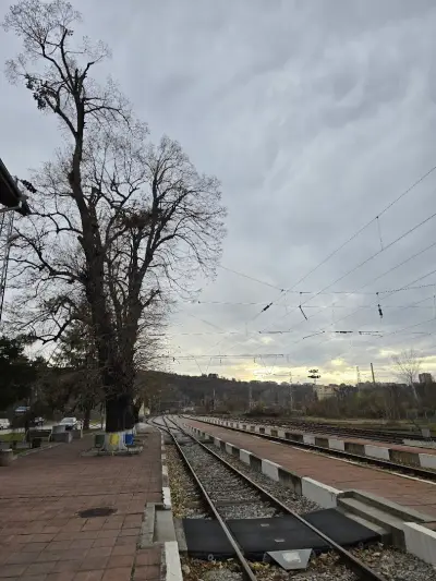 Train station Parking