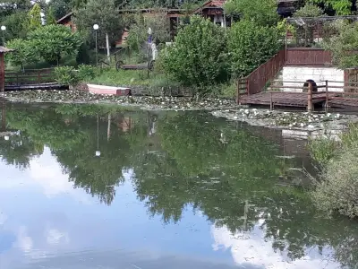 Езерото на ресторант Казабланка