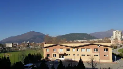 Спорт палас