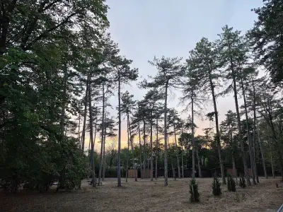 Градски парк Разград