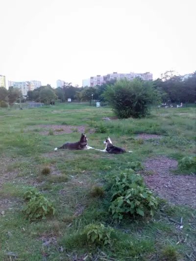 Парк „Велека“