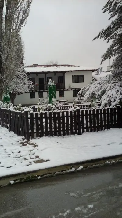 Вила моника