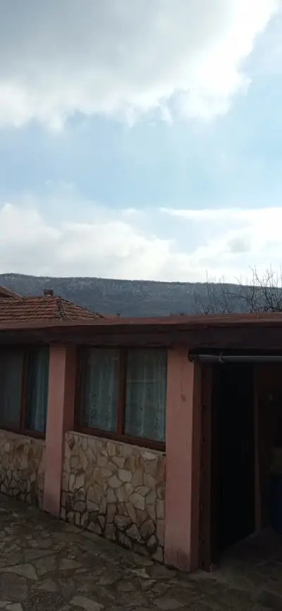 Вила моника