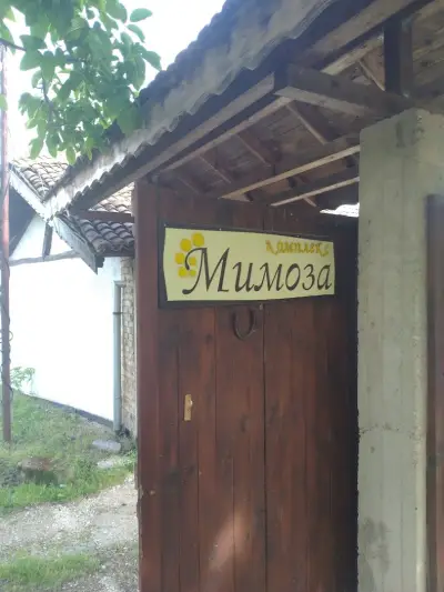 Комплекс Мимоза