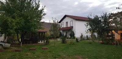 Комплекс Мимоза