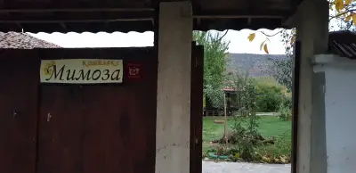 Комплекс Мимоза