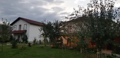 Комплекс Мимоза