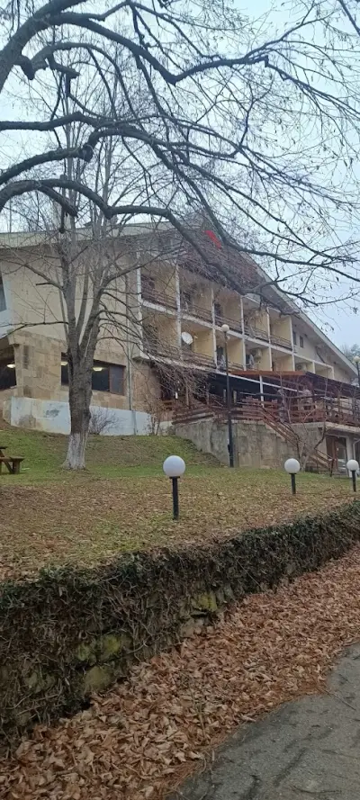 Златна Кошута