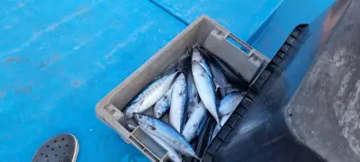 Бунгала "Морски бриз 2"