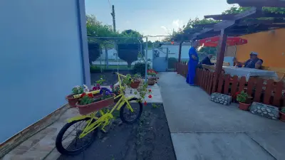 Стаи за гости Мимоза