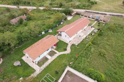 Guest House Viola