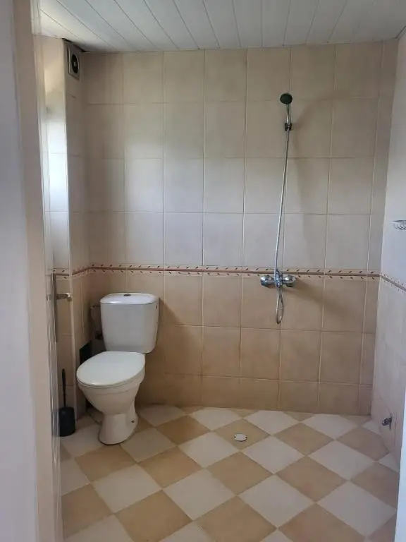 Четворна стая