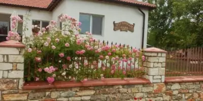 Драгановата къща