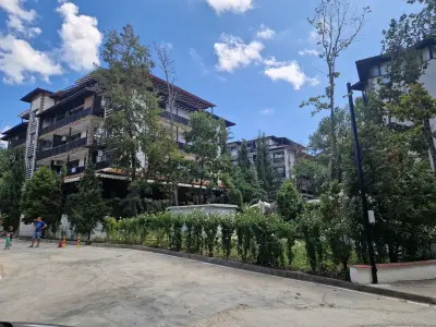 The Green Paradise