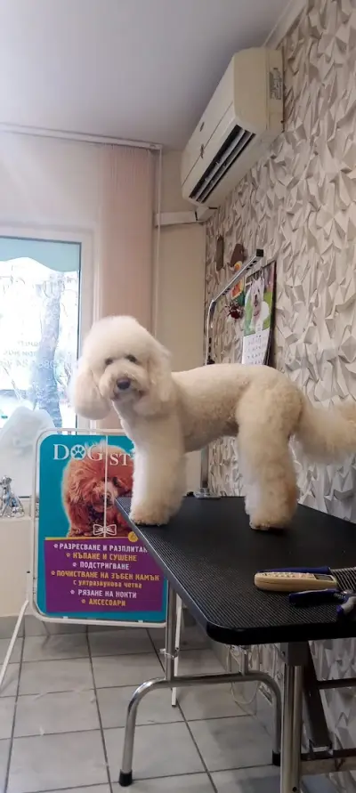 Груминг студио "Dog Style"