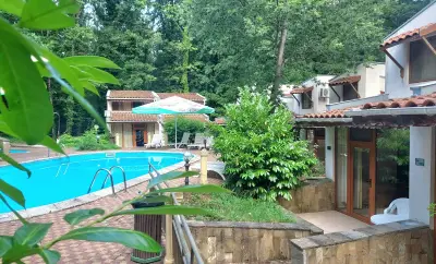 Вили Ропотамо