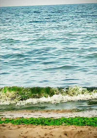Вила Дора