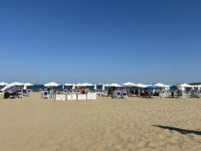 Sea Snobs Beach Bar