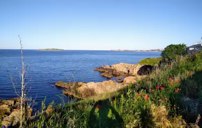 На море като у дома