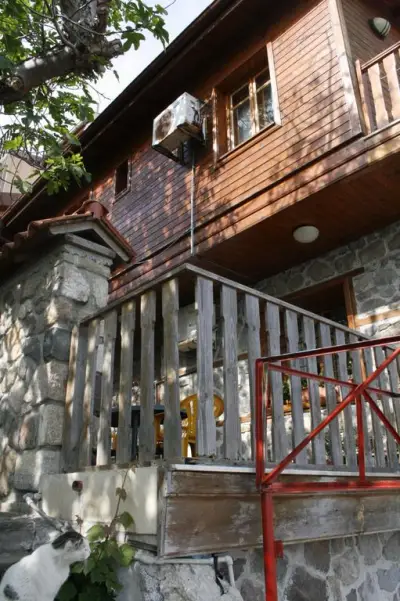Самостоятелни стаи Дурна