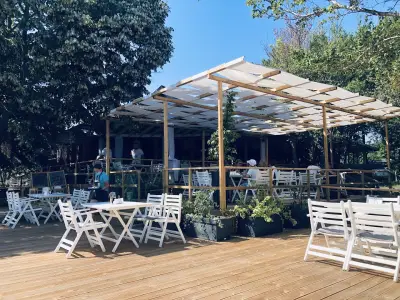 Panorama View & BBQ