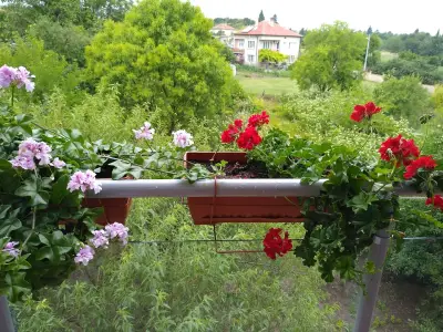 ВИЛА БЯЛА