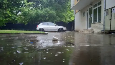 Банички при Янка