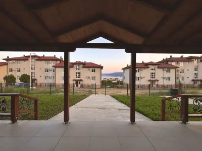 Seagull Studio Byala