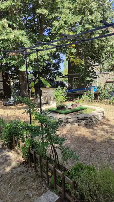 Под старата липа