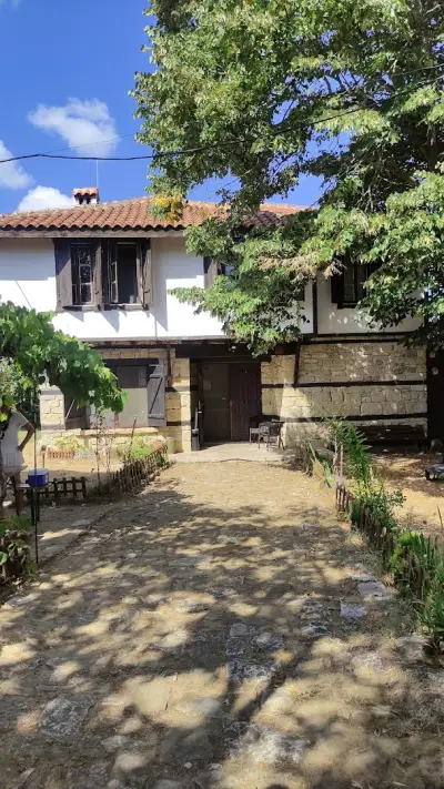 Под старата липа