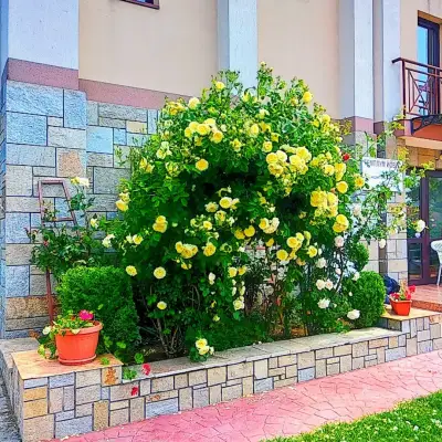 Templum Yovis Apartments