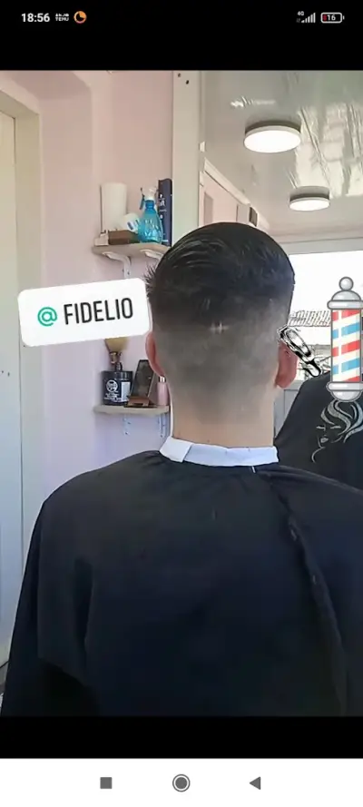 Fidelio