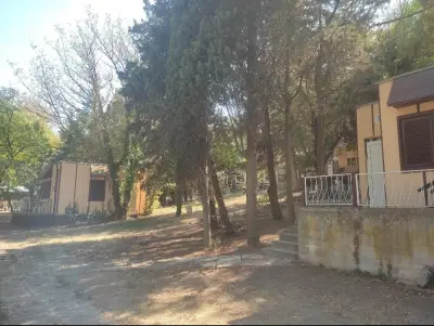 Бунгала Елата
