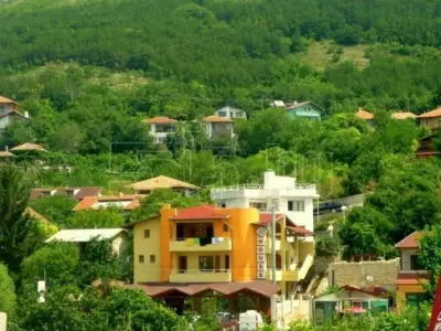 "Алекс"