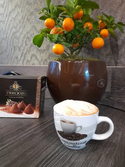 Бърза закуска ORANGE