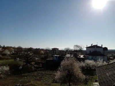 При Витка