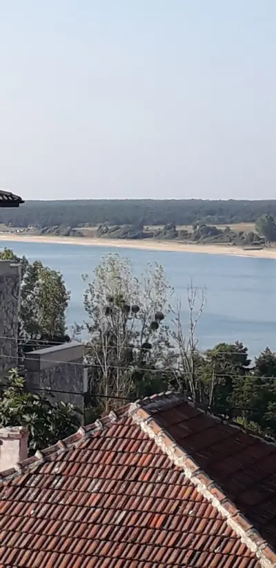 Самостоятелна вила