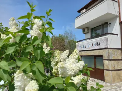 Вила Калина