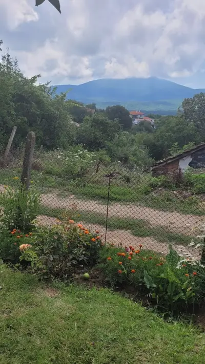 Къща Калина