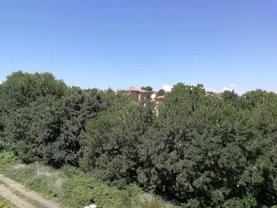 ПРТ Дъга