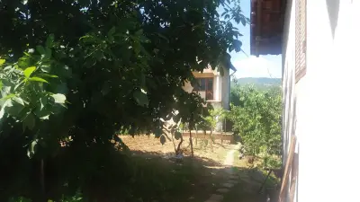 Рисувано стъкло АРТ АТЕЛИЕ ГАЛЕРИЯ