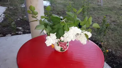 КЪЩА ЗА ГОСТИ ЕЛЛА