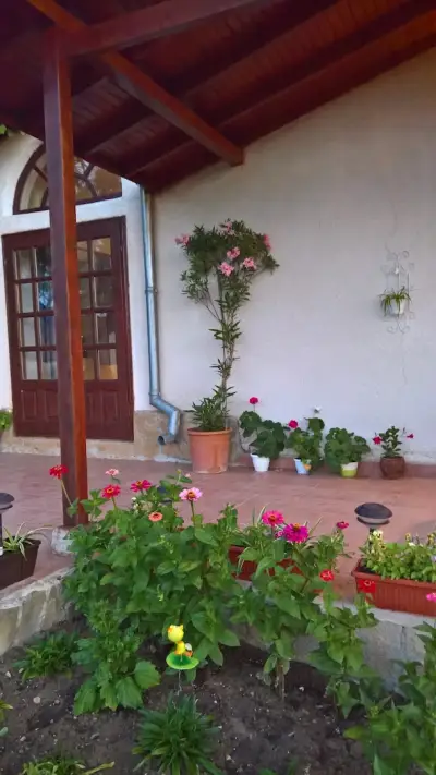 Къща за гости "Митеви"/ Guest house "Mitevi"