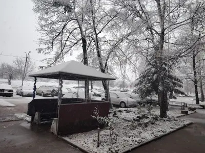 ДЖИ ЕНД ДИ КОНСУЛТИНГ
