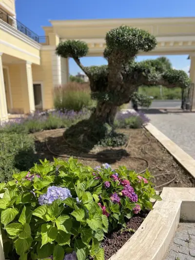 Villa Florance