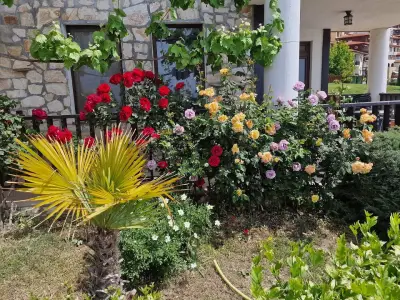 Petkovi Beach Apartment - Свети Влас
