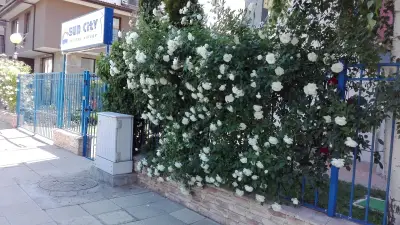 Апартаменти Сън Сити