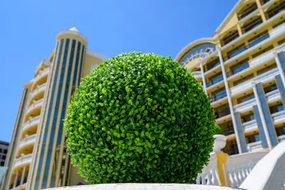 Imperial Palace Hotel